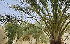 Hadhri Appartement