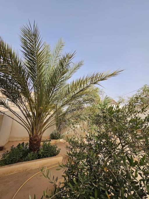 Hadhri Appartement Gobernación de Gobernación de Tozeur Exterior foto